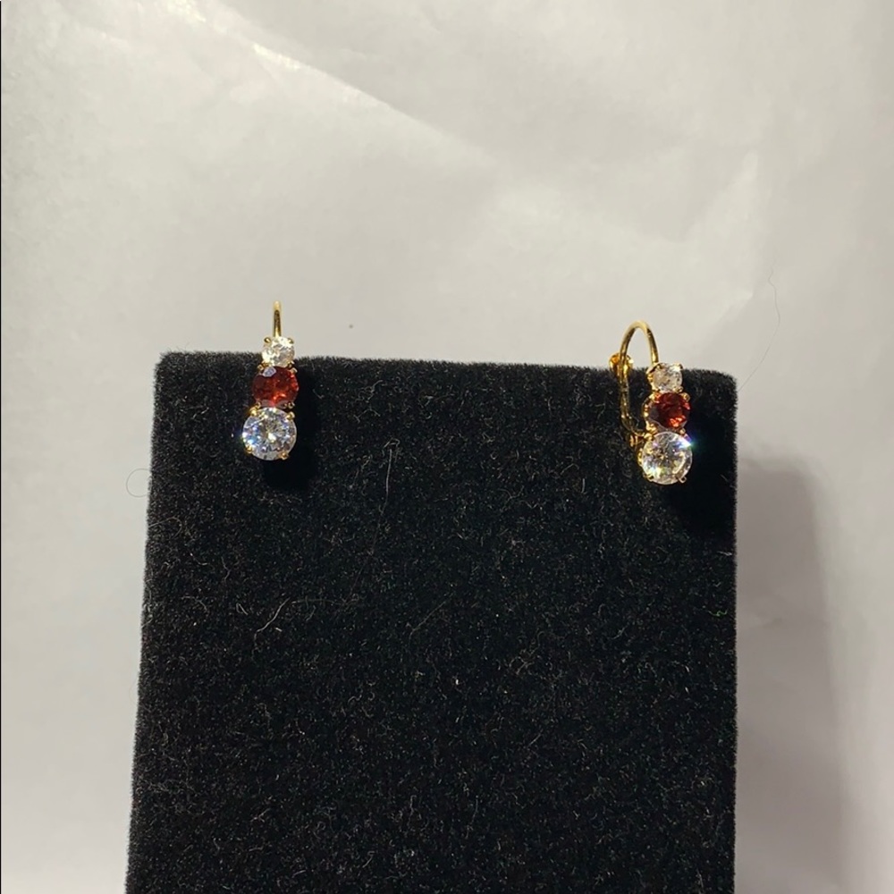 ⭐️24 Kt. gold Ruby and Diamond Earrings